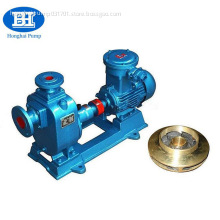 Electric Horizontal Self-Priming Pump For Gas Oil Kerosene